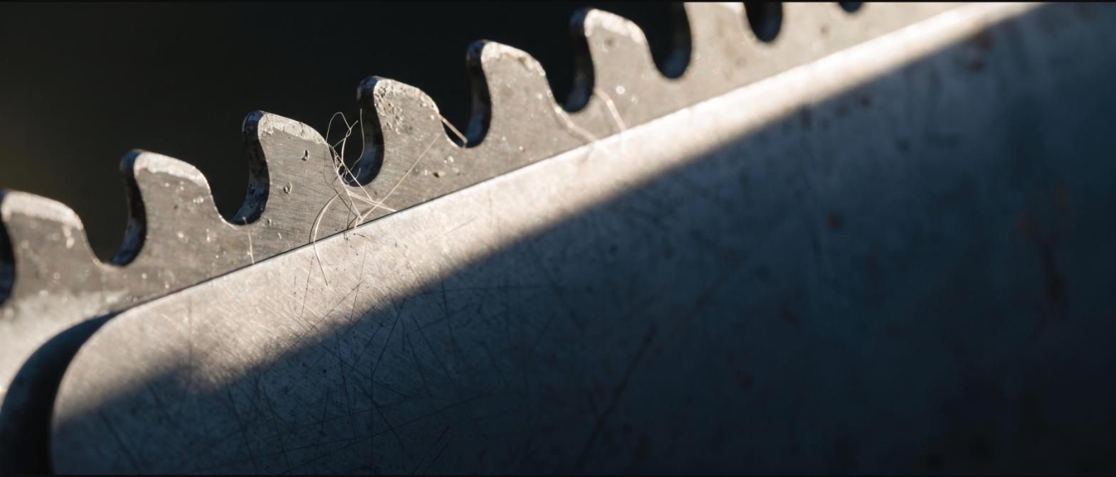Extreme close-up of worn, rounded saw teeth with pale plant fibres caught between them
